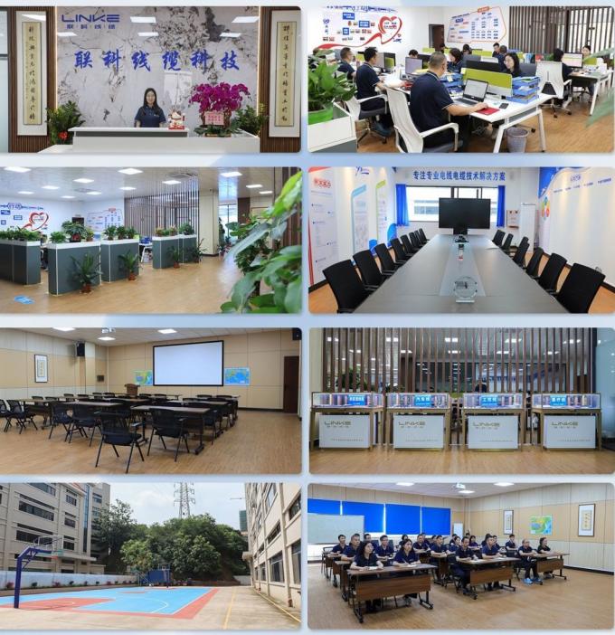 Professional Factory Customized 120º C XLPE Insulated Wire for Cars